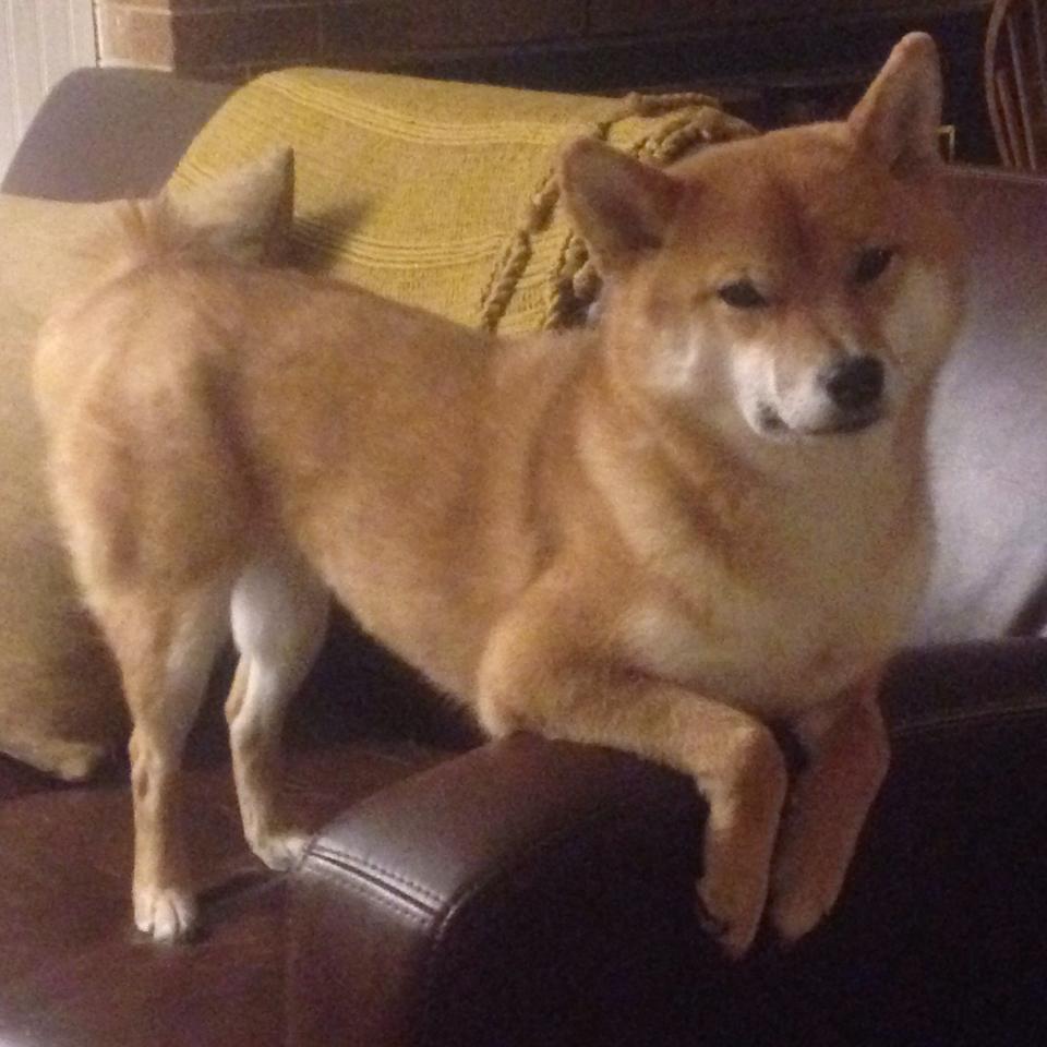 世界杯精彩瞬间:每个鏖战都令人热血沸腾!,世界杯场面