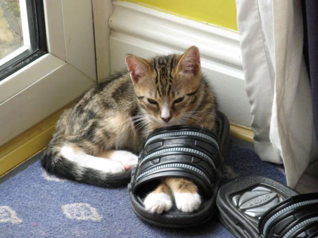 体测系统升级纳入动态健康跟踪机制，体测信息