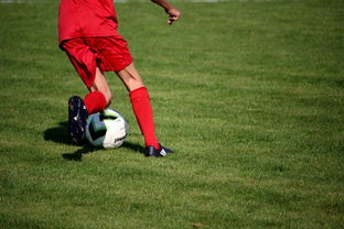 乐鱼体育下载入口-CBA球队加强后勤保障体系优化训练和比赛准备，cba后备联赛